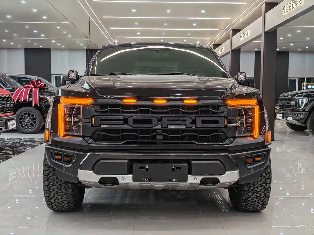 Ford F-150 Raptor — миниатюра 2