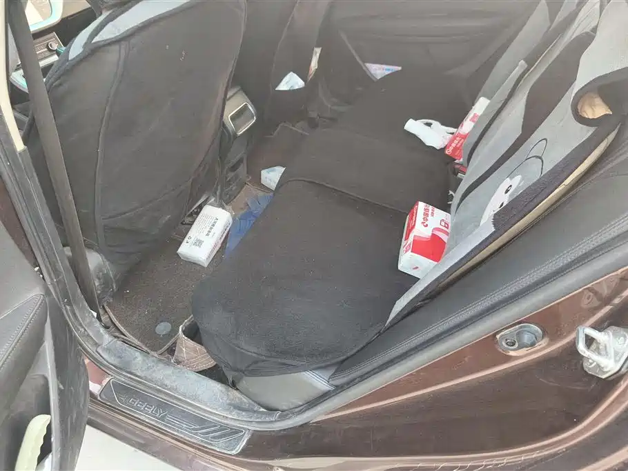 GEELY AUTOMOBILE VISION