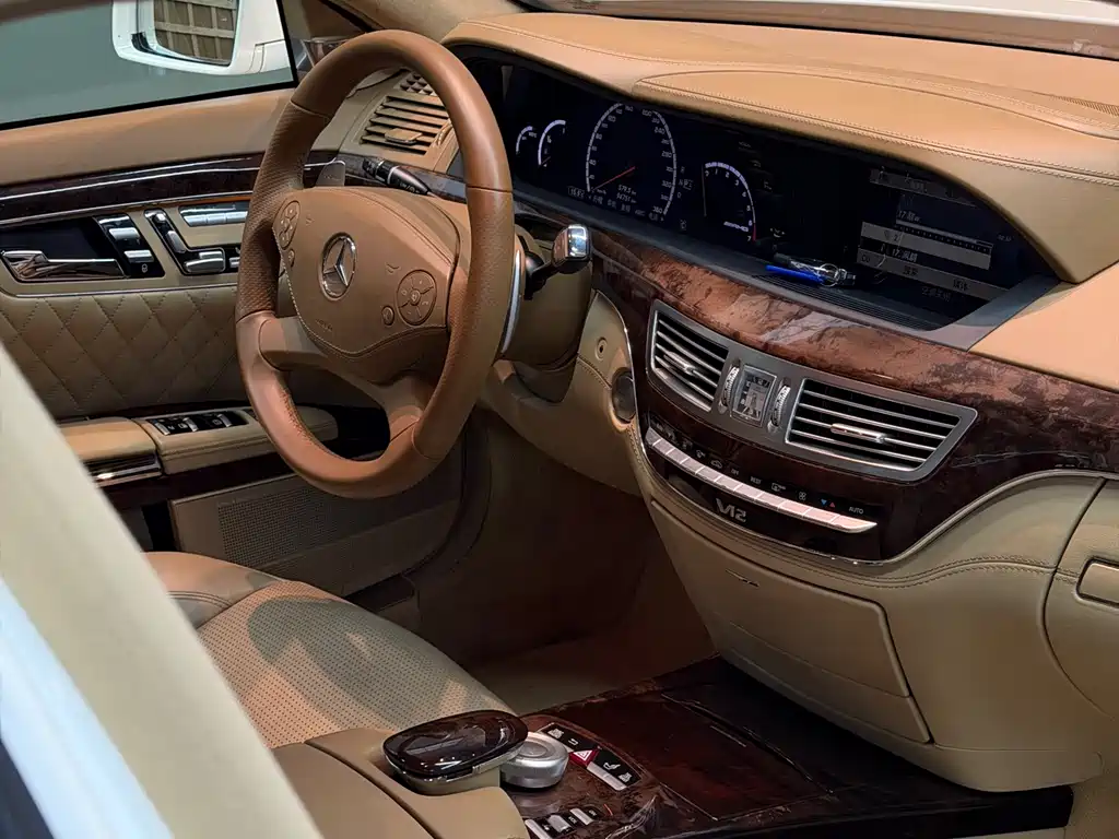Mercedes-Benz S-Class A MG S AMG 2010 AMG S 65
