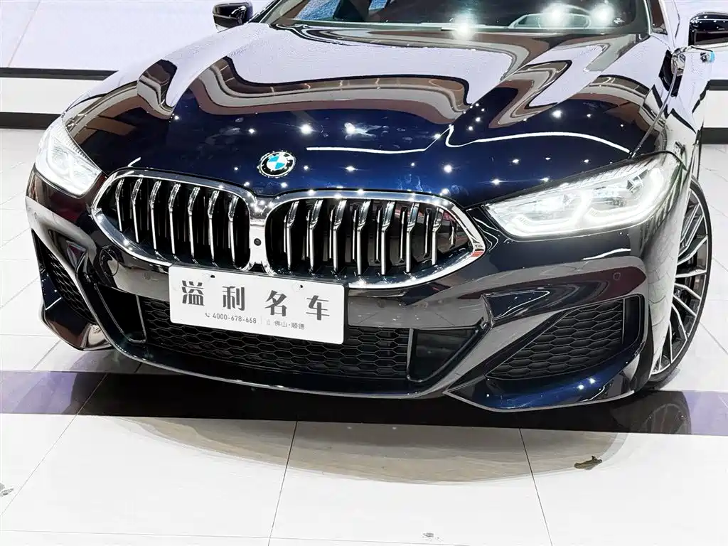 BMW 8 SERIES