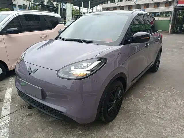 WULING AUTOMOBILE WULING BINGGUO 2024