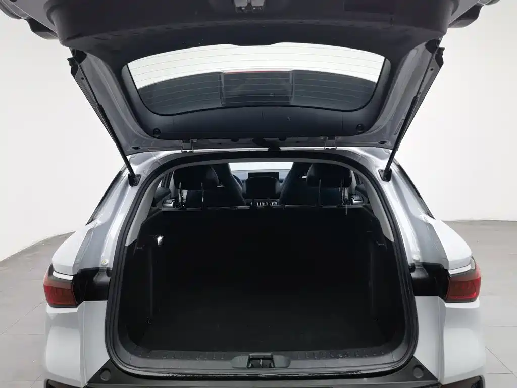 BYD Yuan Plus — миниатюра 16