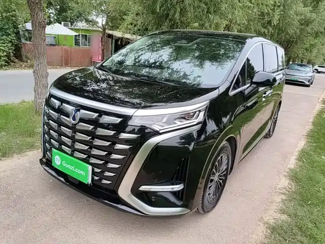 2024 Denza D9