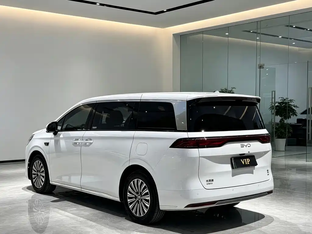 BYD Xia - фото 6