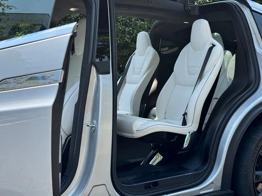 Tesla Model X — миниатюра 10