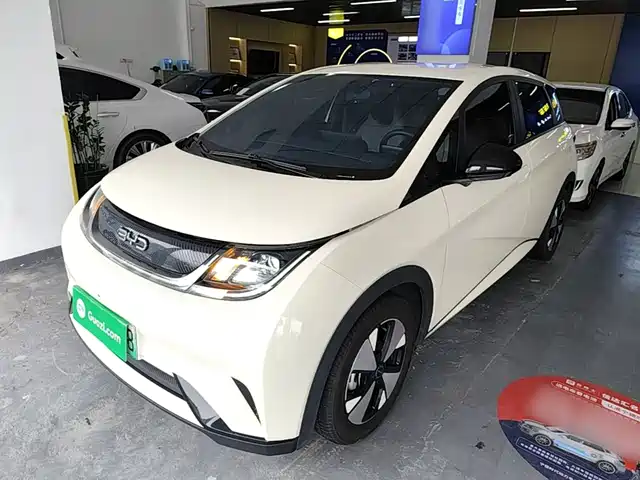 2023 BYD Dolphin