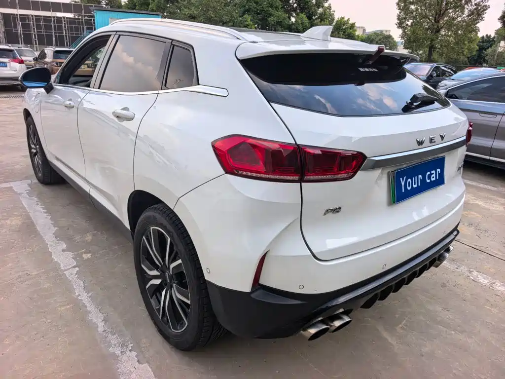 Wey Wey P8 — миниатюра 4