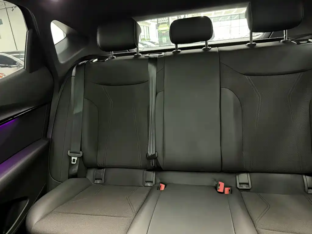 VOLKSWAGEN WITH THE CROWD 06