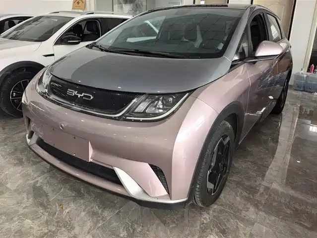 BYD DOLPHIN 2023