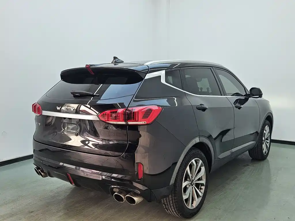 WEI PAI WEI BRAND VV6