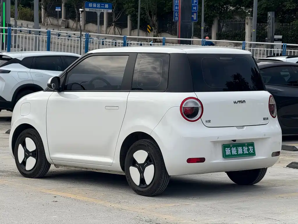 Qiyuan Lumin — миниатюра 5