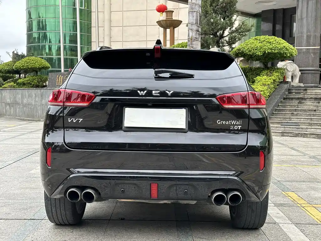 WEI PAI WEI BRAND VV7