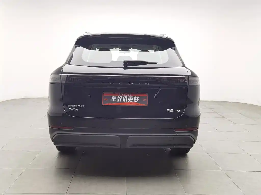 Fulwin Fengyun T9 — миниатюра 4