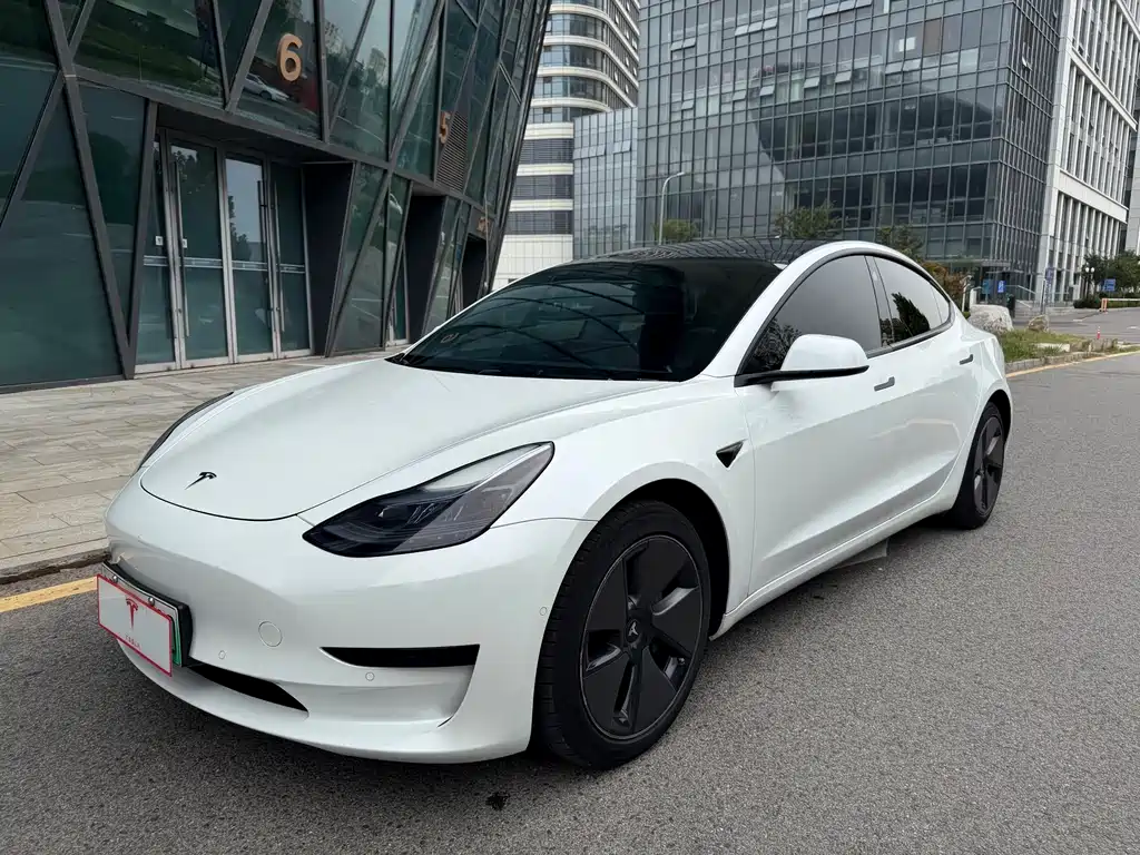 Tesla Model 3 2019