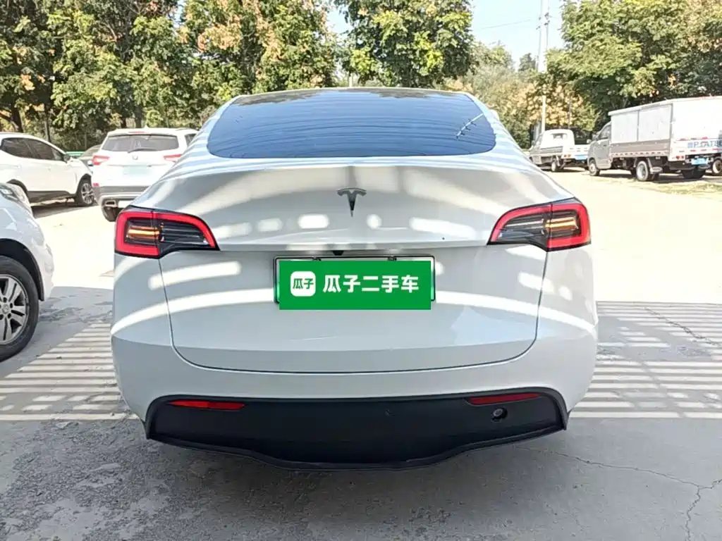 Tesla Model Y — миниатюра 6