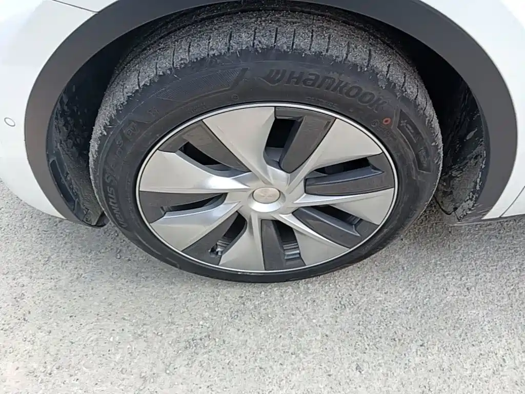 Tesla Model Y — миниатюра 23