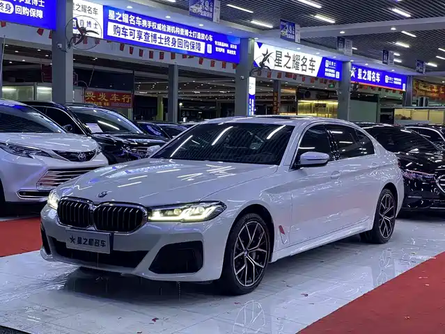 BMW 5 SERIES