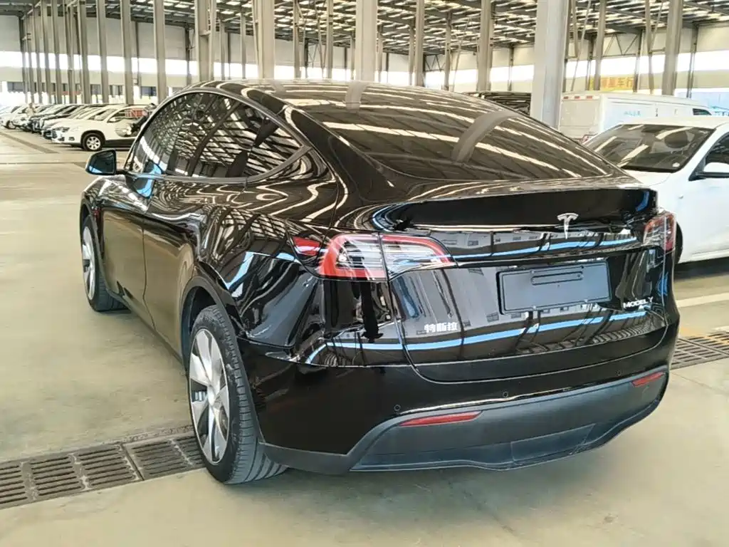 Tesla Model Y — миниатюра 5
