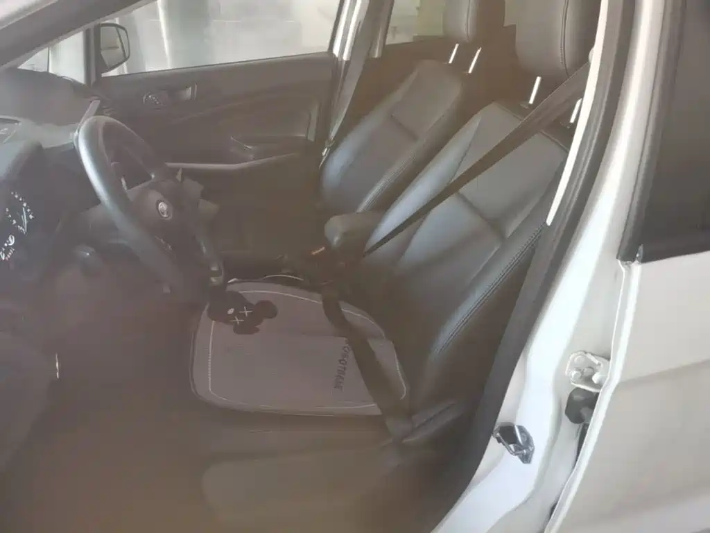 Ford Ecosport — миниатюра 15