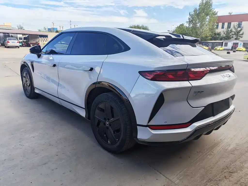 BYD L EV — миниатюра 5