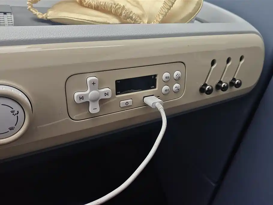 BESTUNE PENTIUM PONY