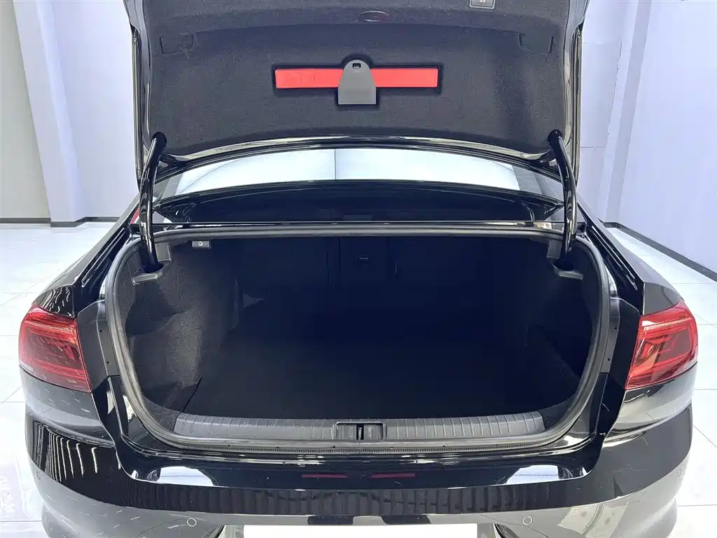 Volkswagen Magotan 2020 330TSI DSG Luxury