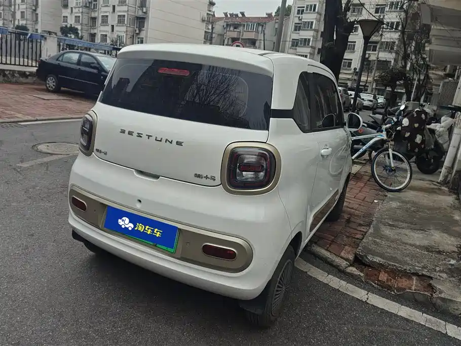 BESTUNE PENTIUM PONY