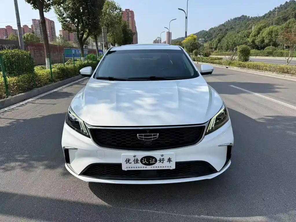 Geely Binrui — миниатюра 2