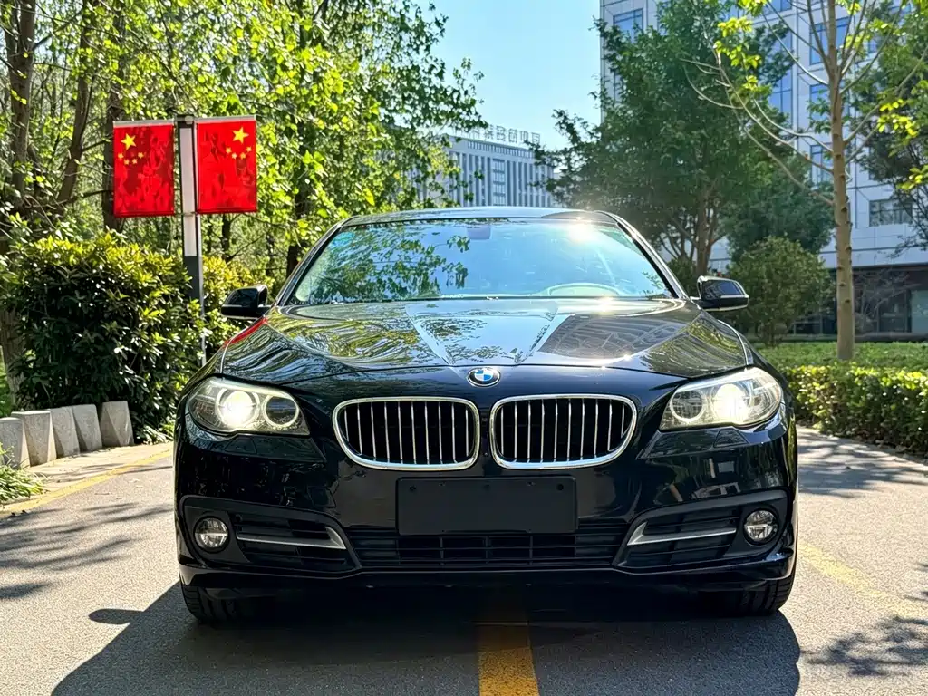 BMW 5 Series — миниатюра 3