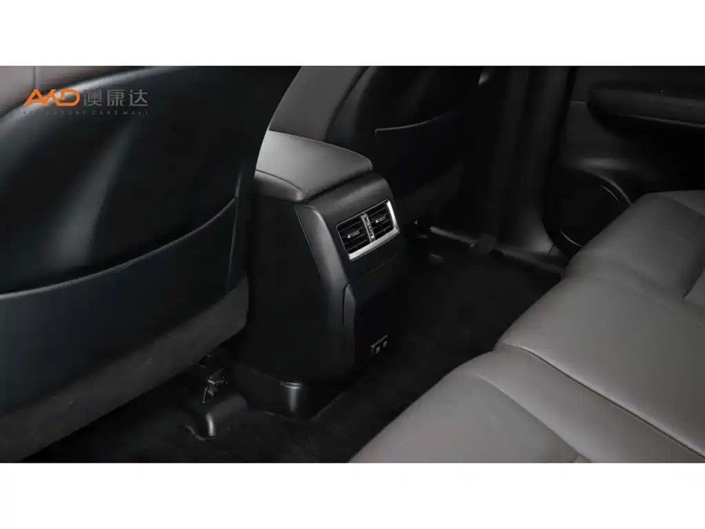 Lexus RX 2020 300 Elegant VI
