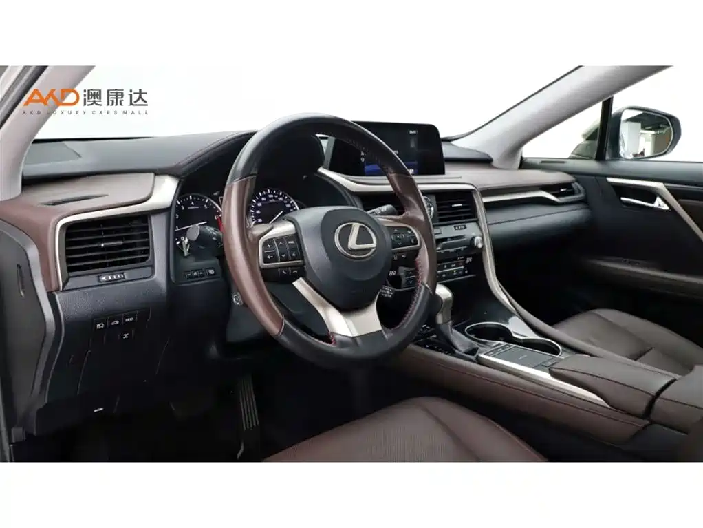 Lexus RX 2020 300 Elegant VI