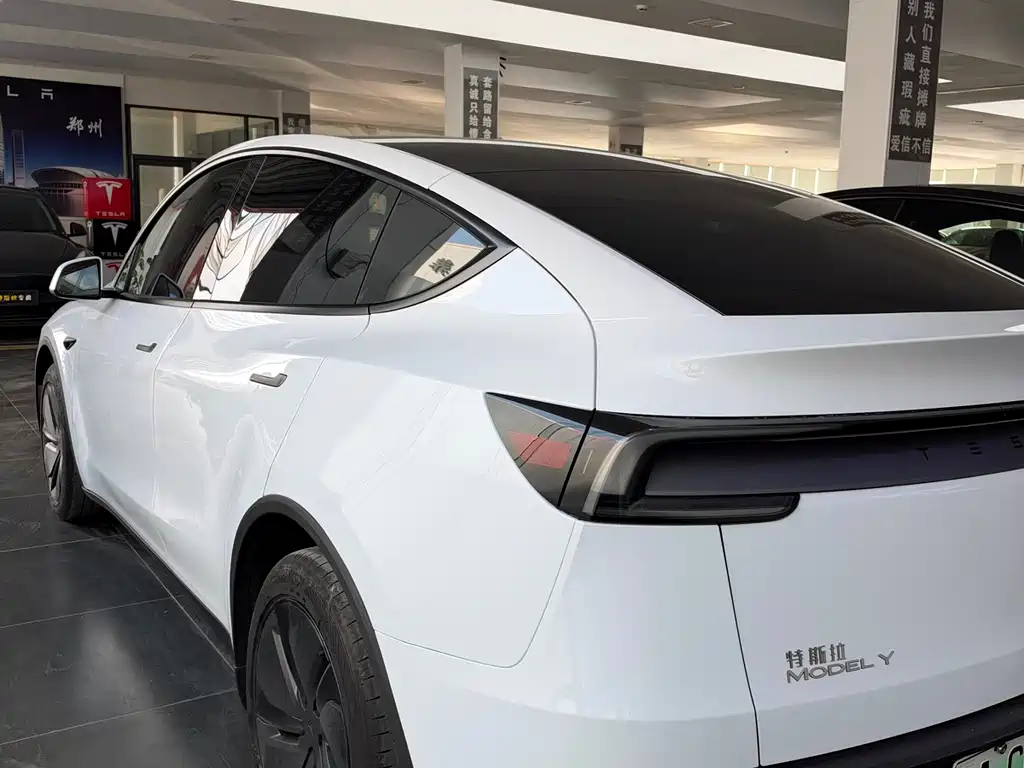 Tesla Model Y — миниатюра 9