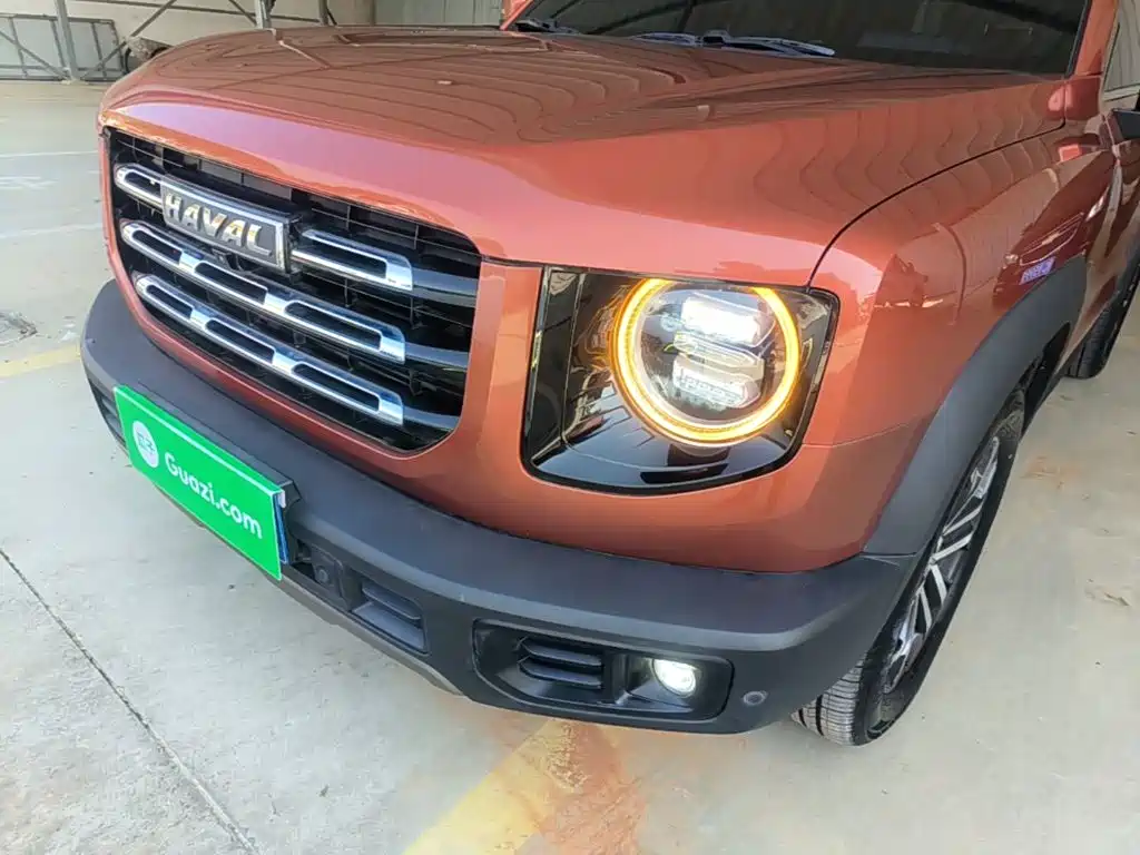 Haval Big Dog — миниатюра 24