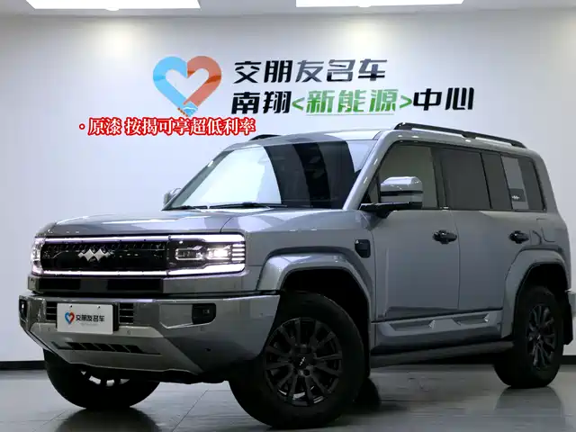 fang-cheng-bao leopard-5