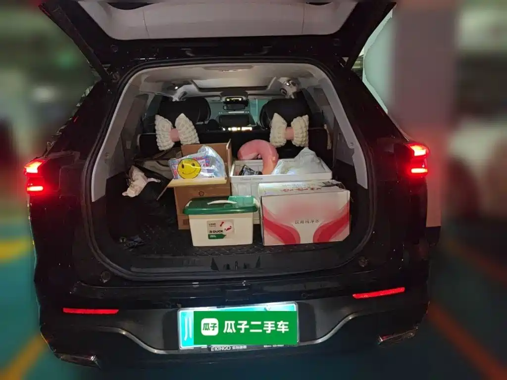 Chery Tiggo 8 PLUS — миниатюра 15