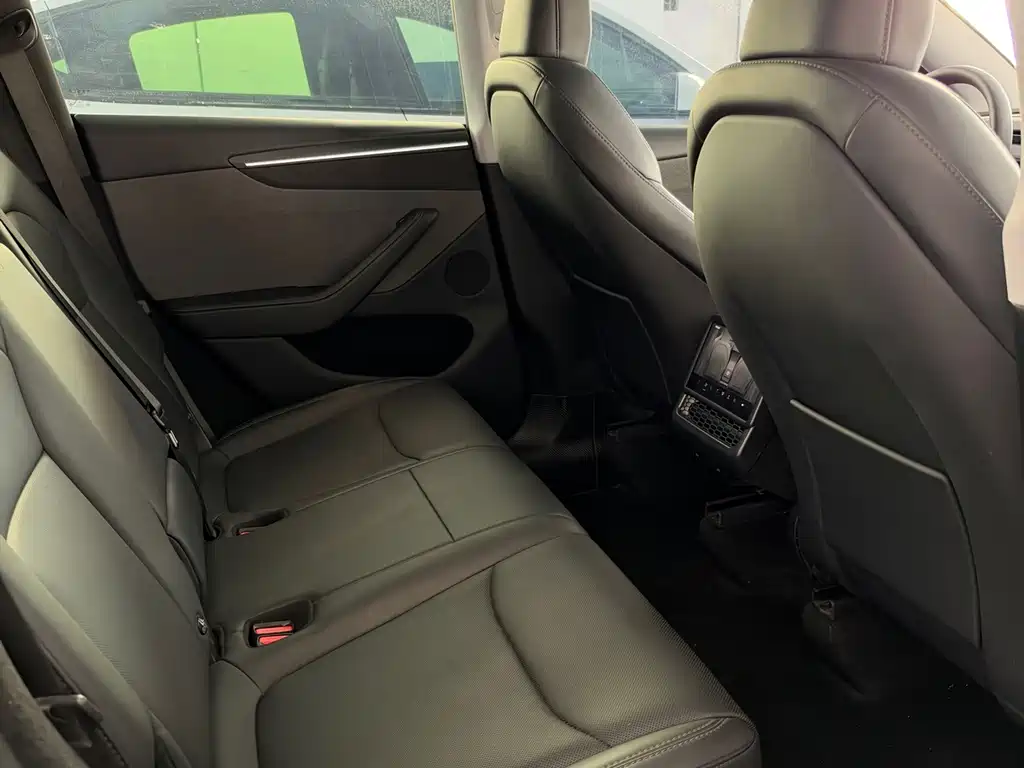 Tesla Model Y — миниатюра 6