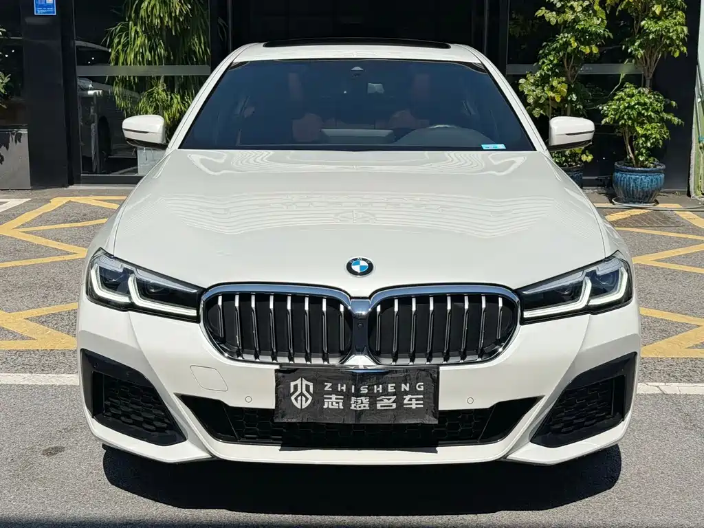 BMW 5 Series — миниатюра 2