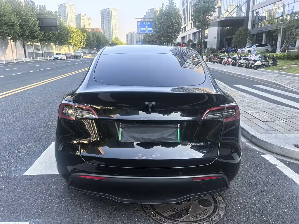 Tesla Model Y — миниатюра 8