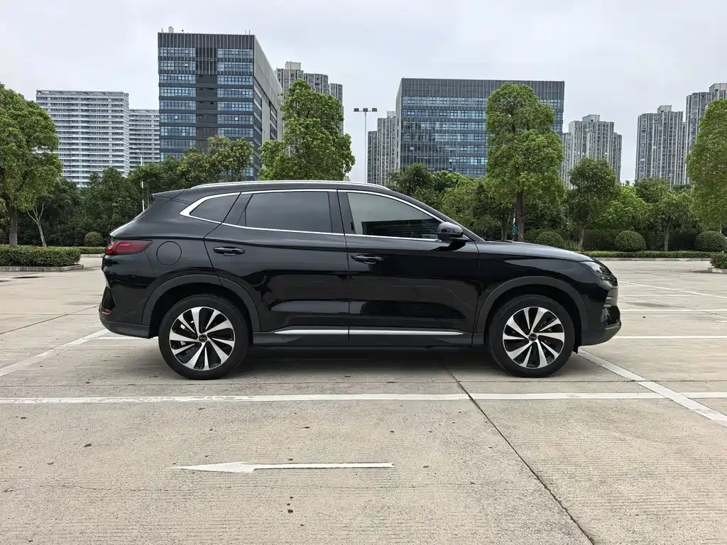 BYD SONGJIANG NEW ENERGY