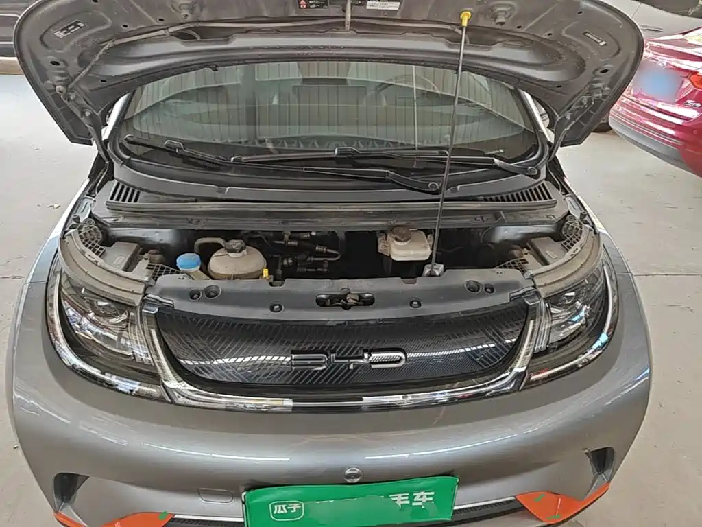 BYD Dolphin — миниатюра 20