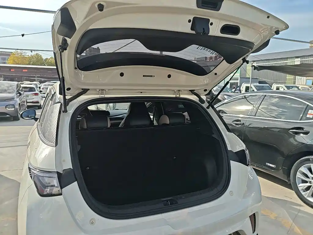 BYD Dolphin — миниатюра 19