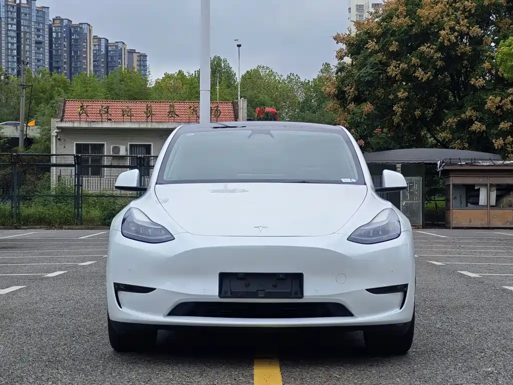 Tesla Model Y — миниатюра 2