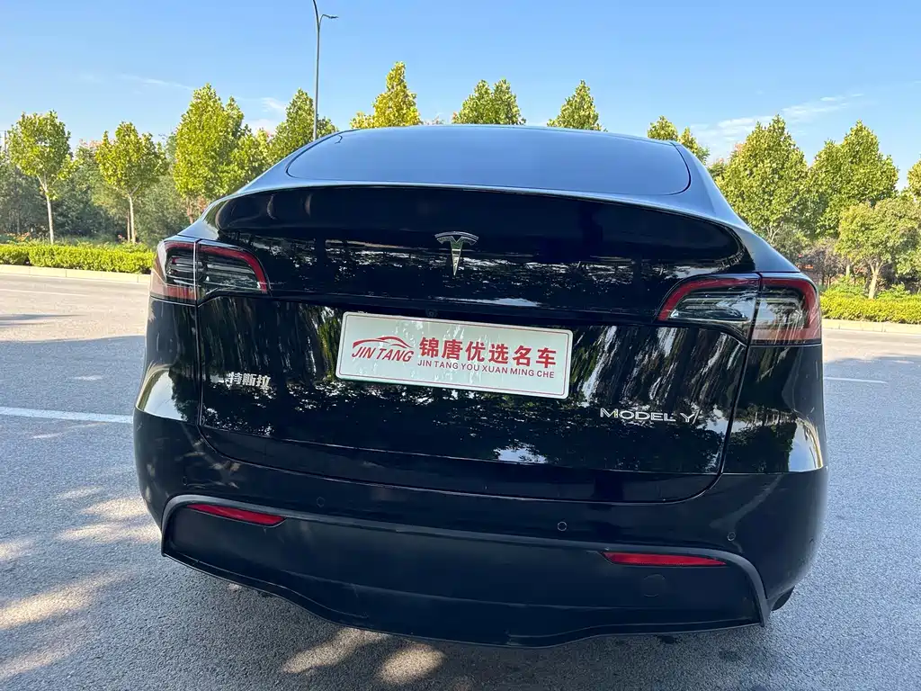 Tesla Model Y — миниатюра 15