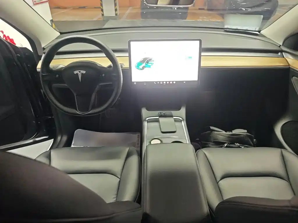 Tesla Model Y — миниатюра 10