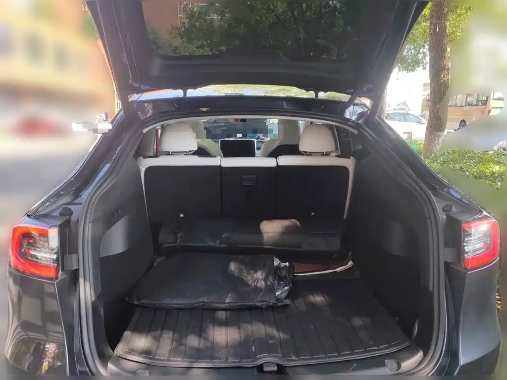 Tesla Model Y — миниатюра 15