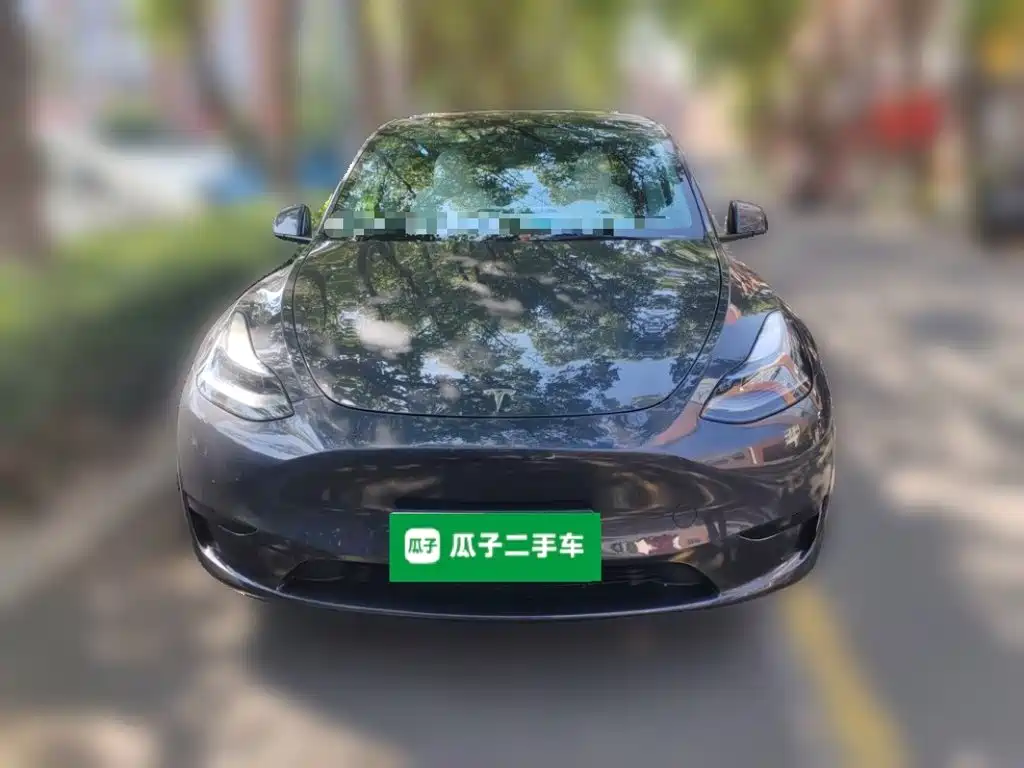 Tesla Model Y — миниатюра 2
