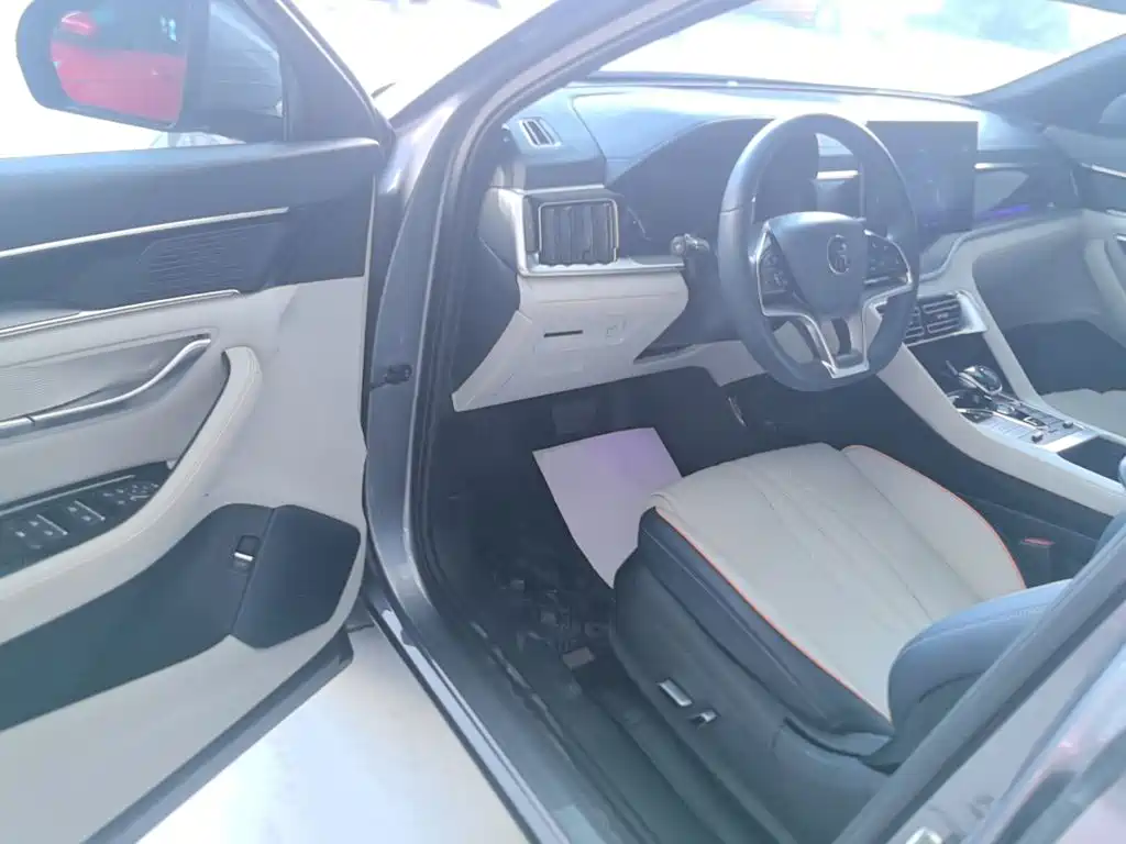 BYD PLUS New Energy — миниатюра 16