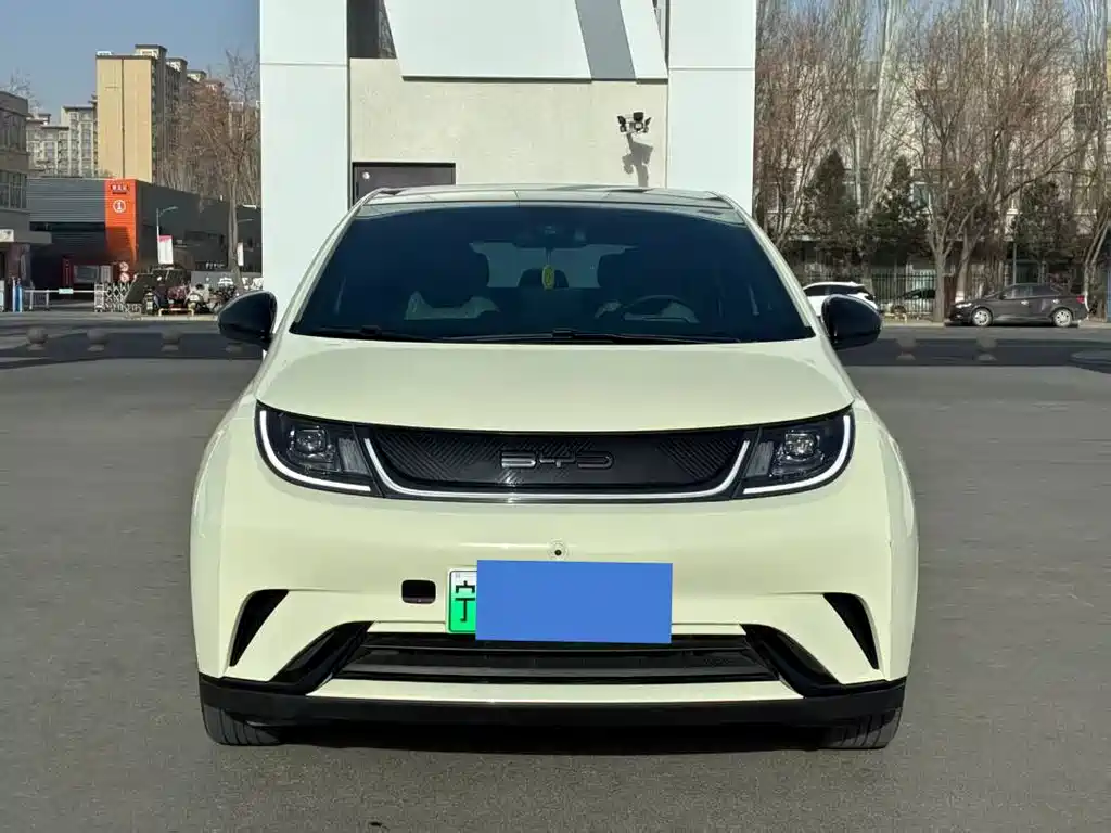 BYD DOLPHIN