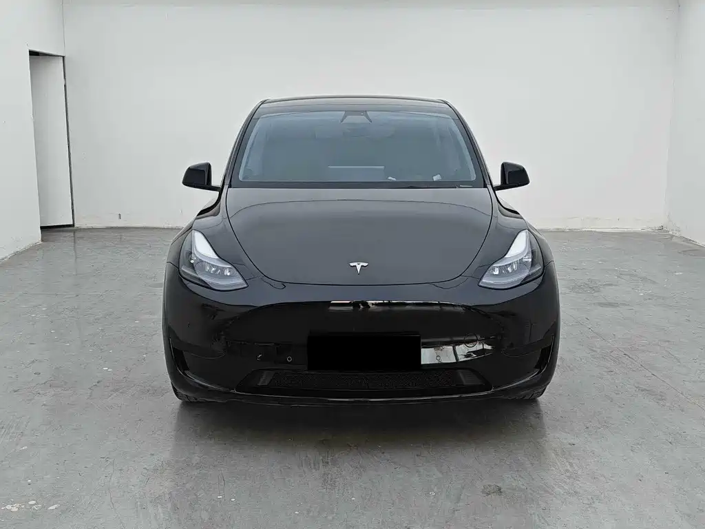 Tesla Model Y — миниатюра 2