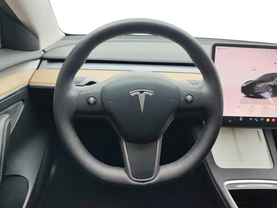 Tesla Model 3 — миниатюра 15